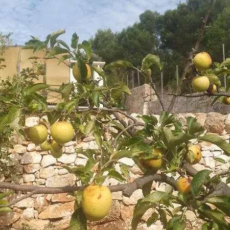 Trulli Vittoria Villa *
